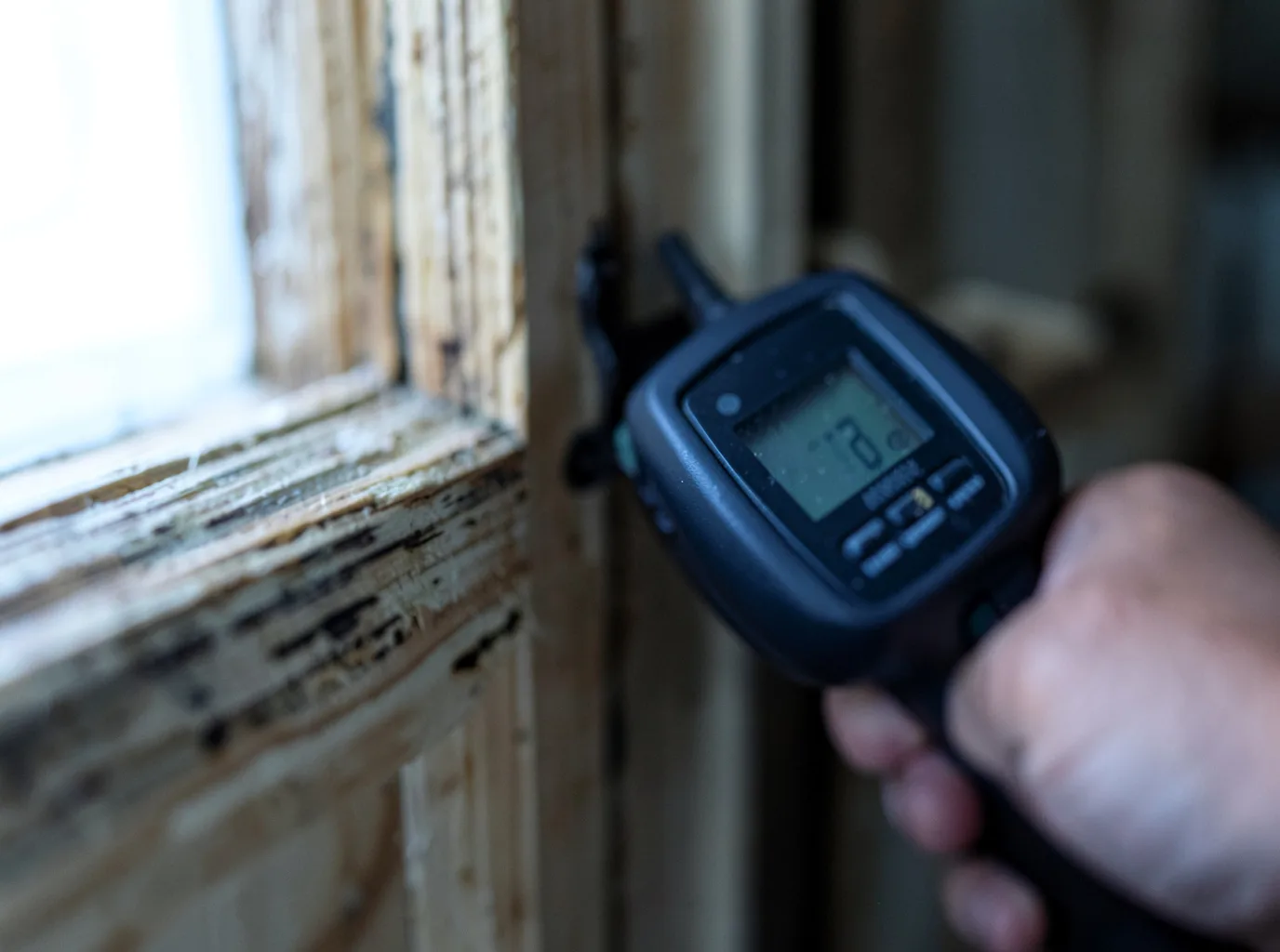 Water Damage Restoration Salem, FL FAQs